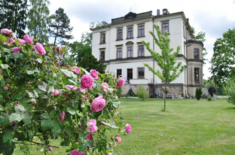 Villa Gückelsberg Park